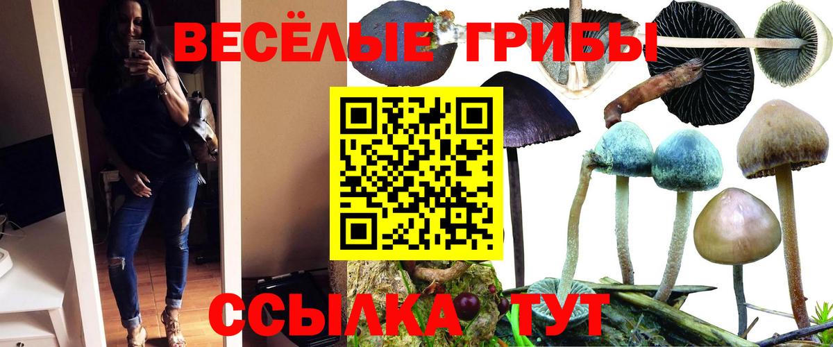 закладки  Вход с VPN  Горячий Ключ  Галлюциногенные грибы GOLDEN TEACHER 